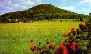 View Toward The Landeskrone